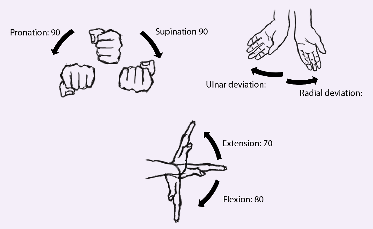 Basic wrist movements